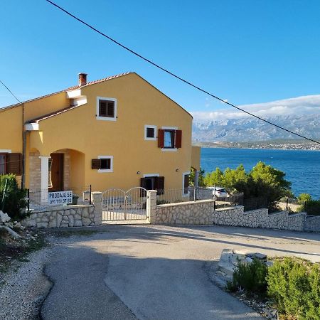 Apartments Mikecin Novigrad  Esterno foto