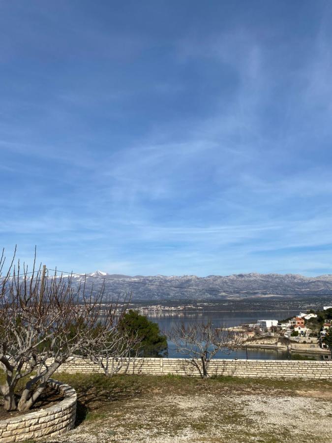 Apartments Mikecin Novigrad  Esterno foto
