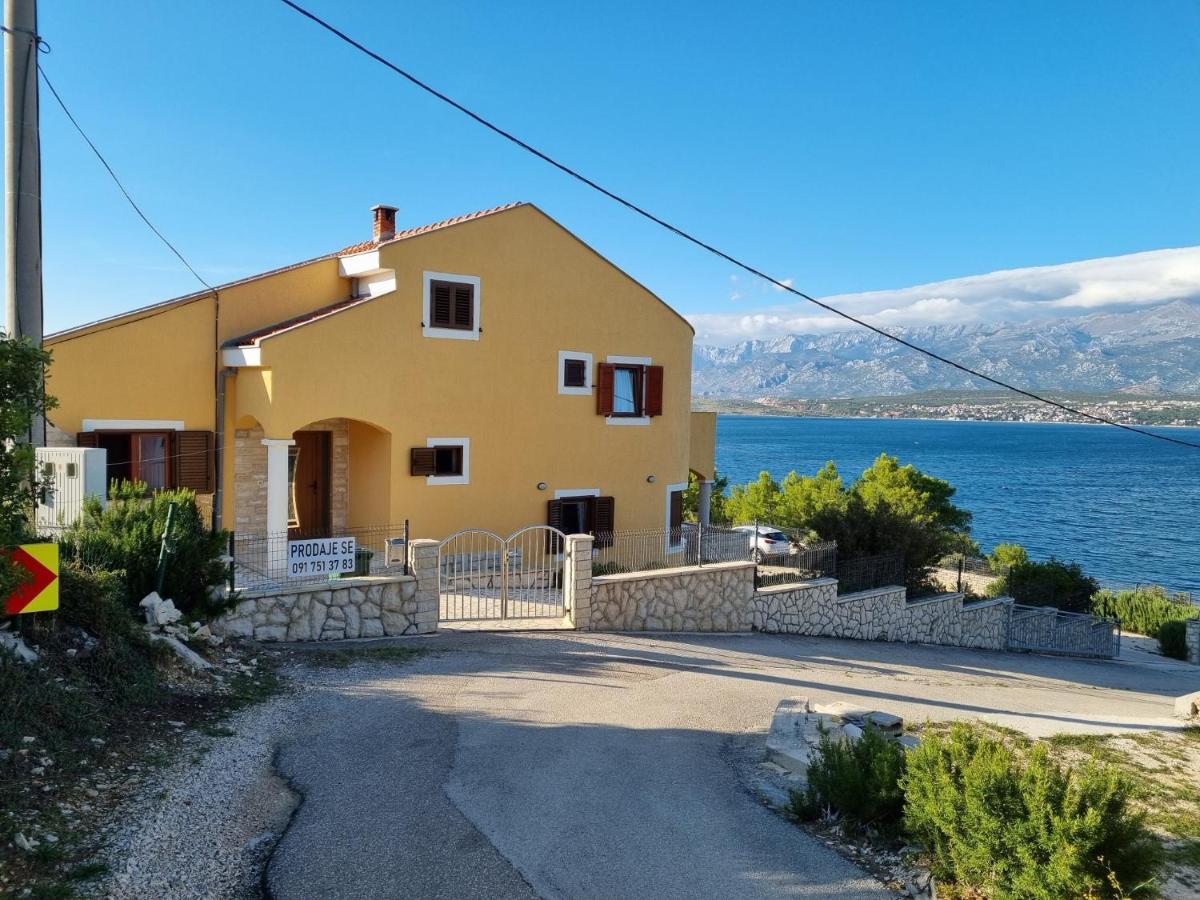 Apartments Mikecin Novigrad  Esterno foto