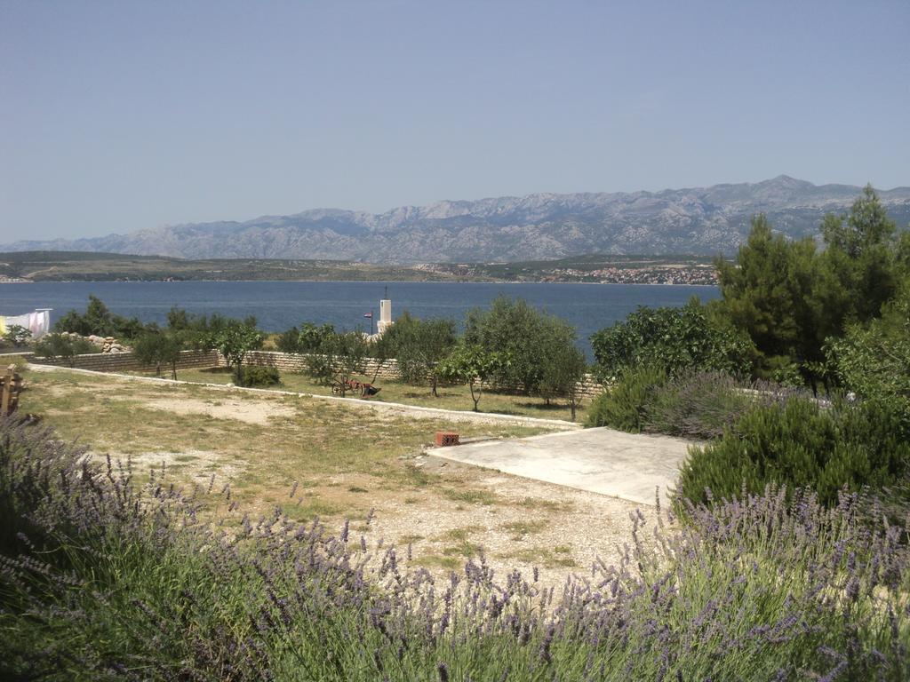 Apartments Mikecin Novigrad  Esterno foto